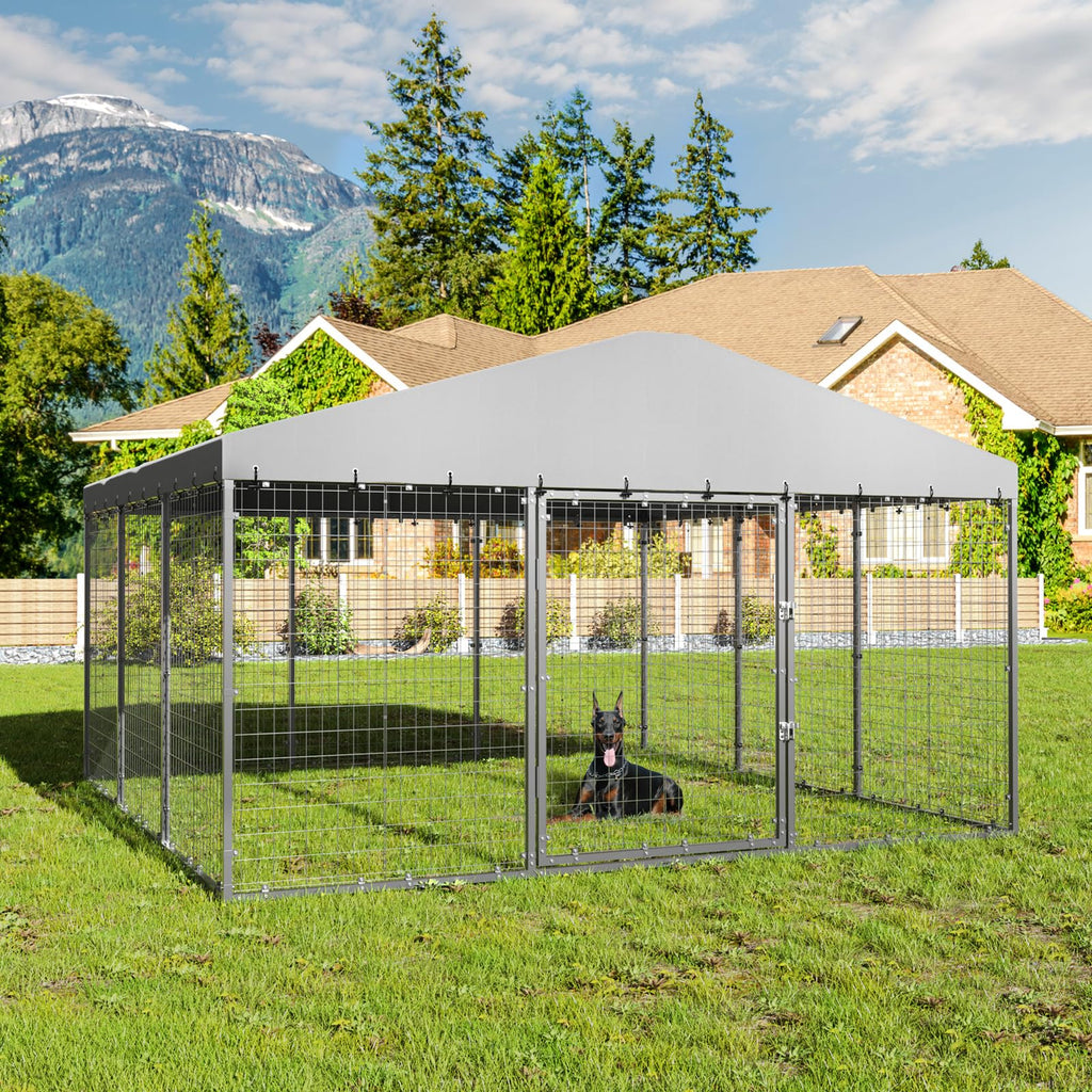 ALAULM Outdoor Large dog kennel,double security lock with proof for dog,duck and chicken